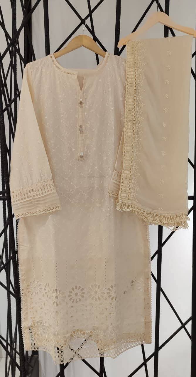 SADABAHAR CHIKAN KARI 01