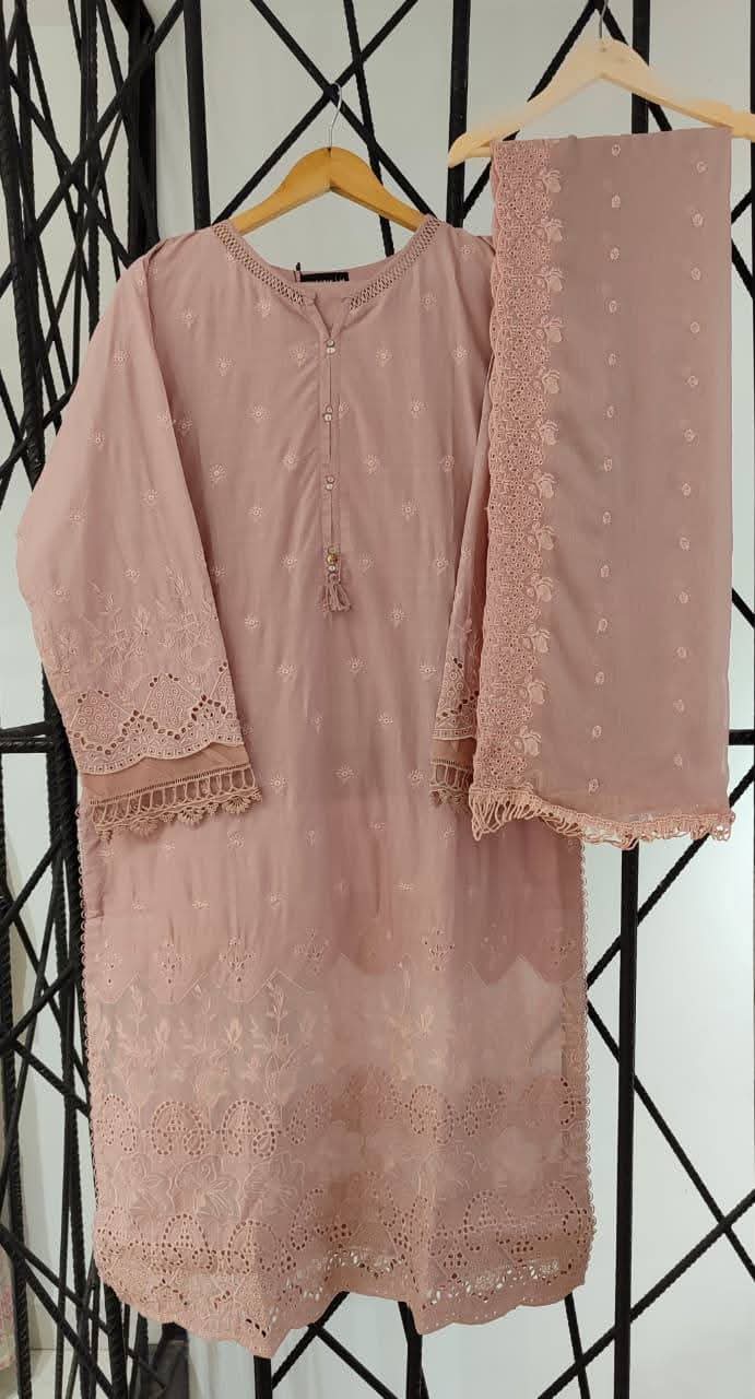 SADABAHAR CHIKAN KARI 02
